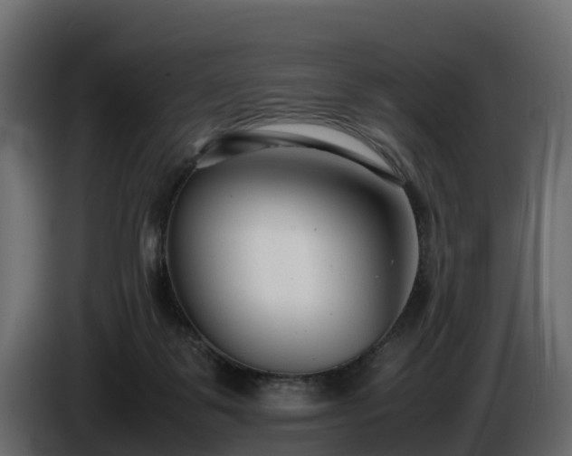X0000085790123200703231316