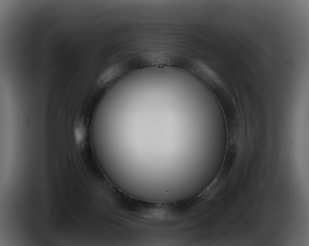 X0000085790124200703231316
