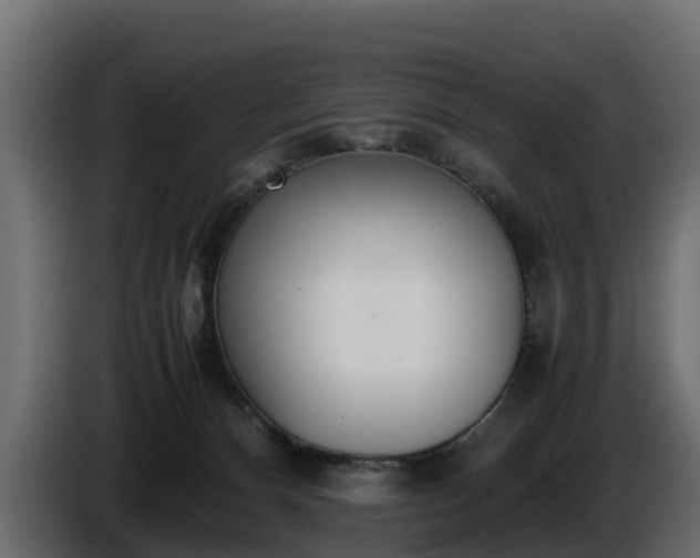 X0000085790128200703231316