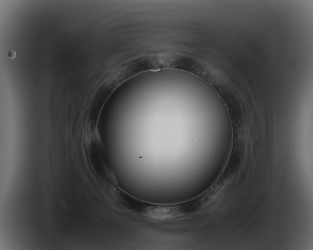 X0000085790129200703231316