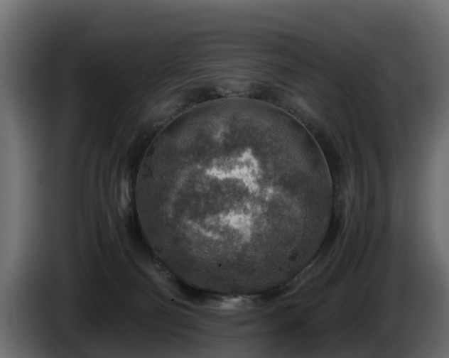 X0000085790130200703231316