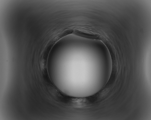 X0000085790135200703231316