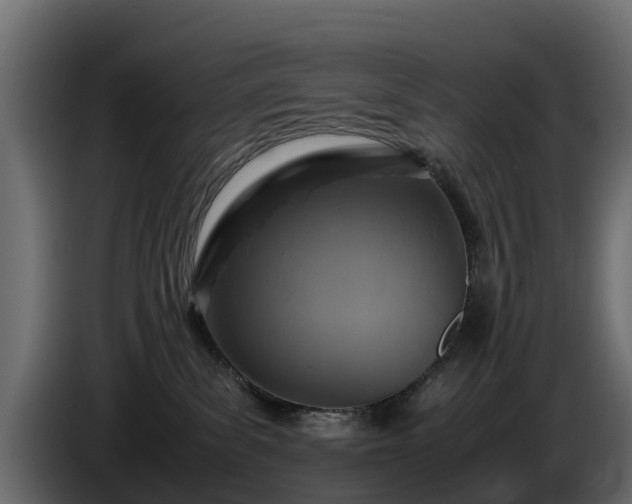 X0000085790139200703231316