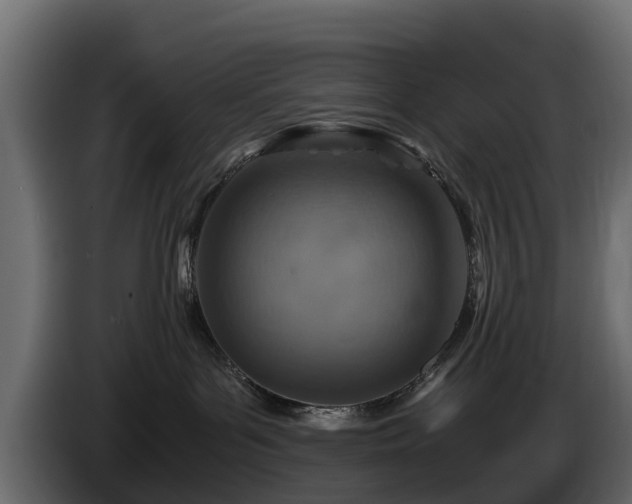 X0000085790143200703231316