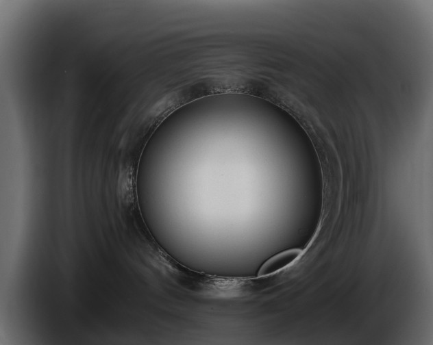 X0000085790144200703231316
