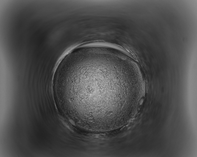 X0000085790147200703231315