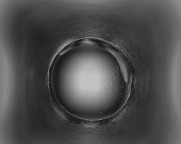 X0000085790148200703231315