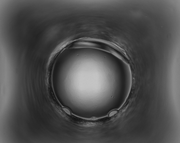 X0000085790149200703231315