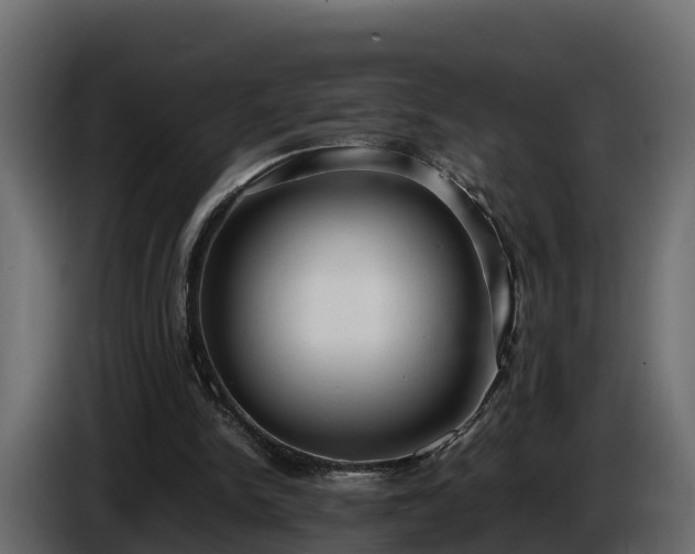 X0000085790150200703231315