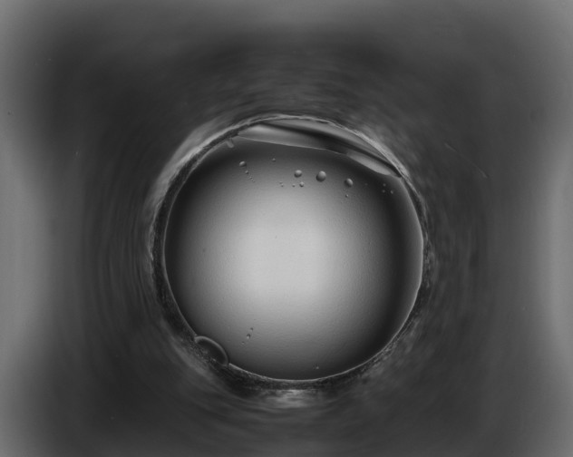 X0000085790151200703231315