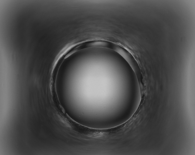 X0000085790152200703231315