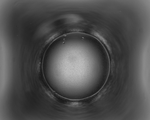 X0000085790153200703231315