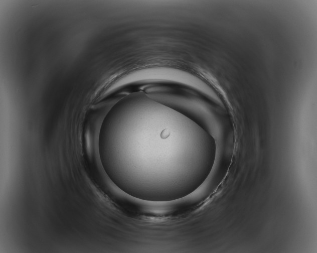 X0000085790154200703231315