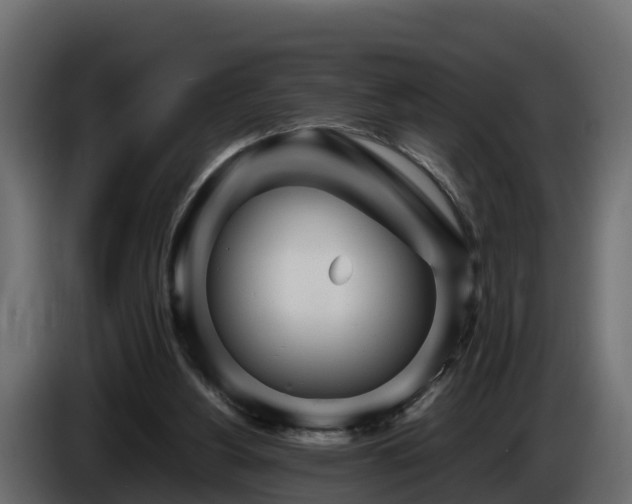 X0000085790156200703231315