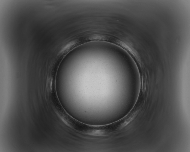 X0000085790157200703231315