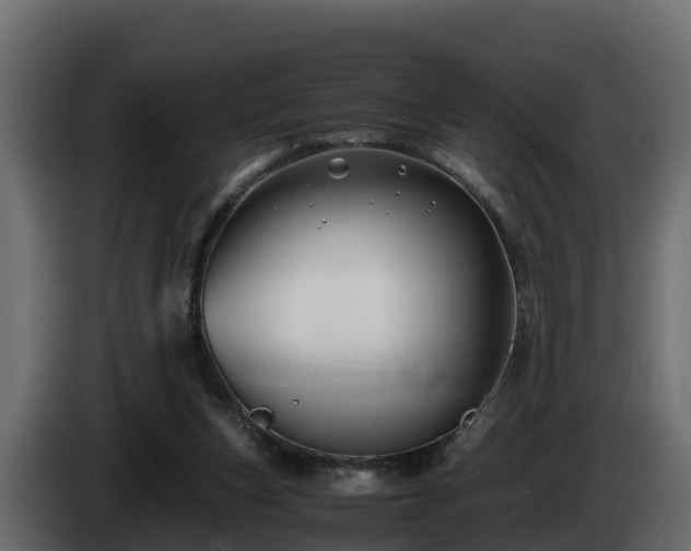 X0000085790159200703231315