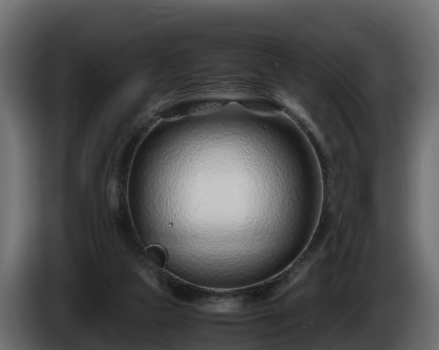 X0000085790161200703231315