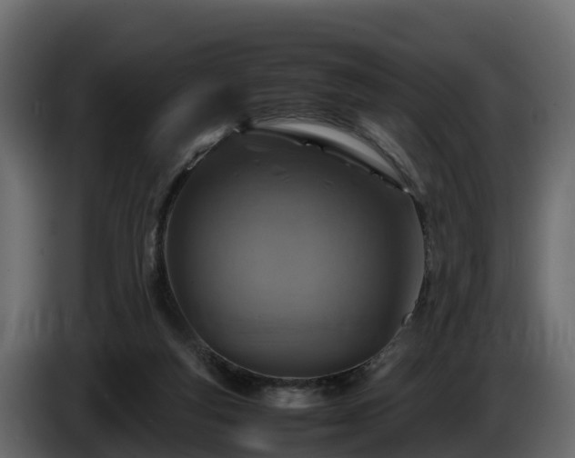 X0000085790163200703231315