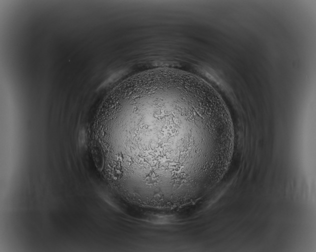 X0000085790165200703231315