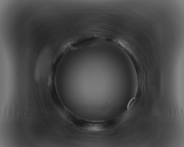 X0000085790167200703231315