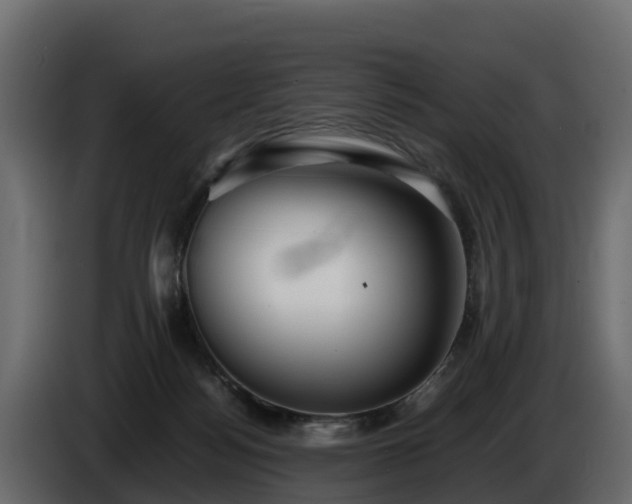 X0000085790172200703231316