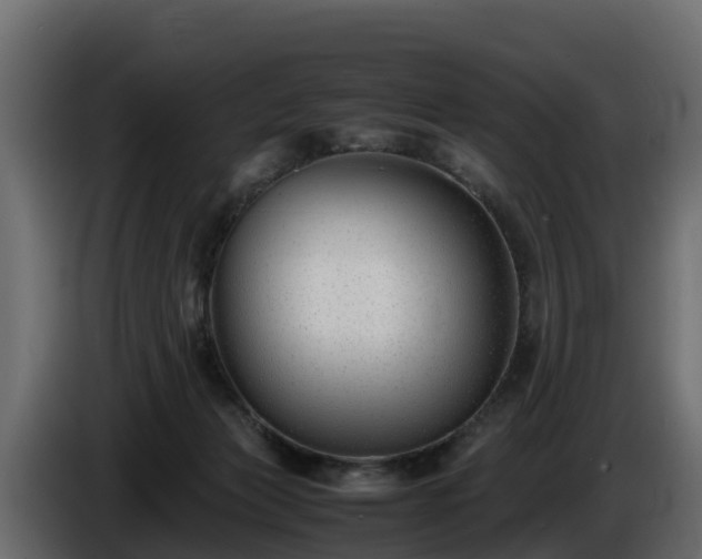X0000085790173200703231316
