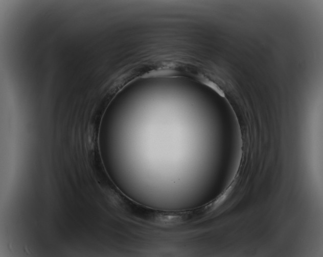 X0000085790174200703231316