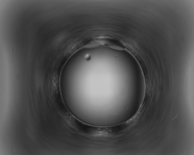 X0000085790175200703231316