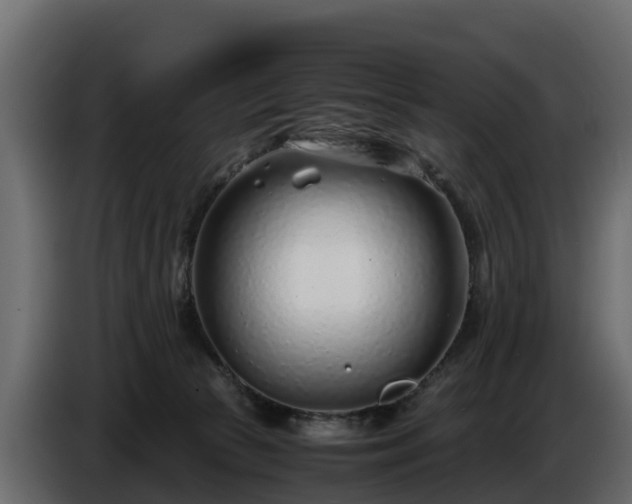 X0000085790177200703231316