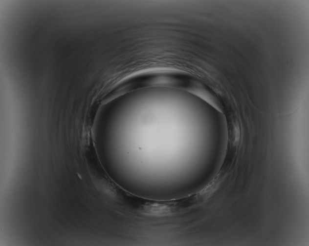 X0000085790180200703231316