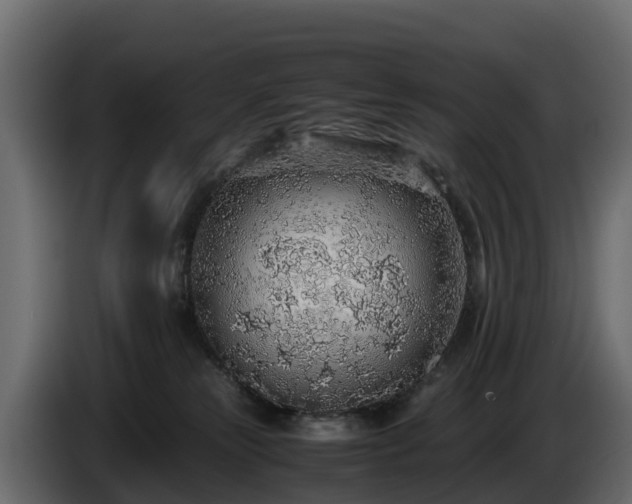 X0000085790181200703231316