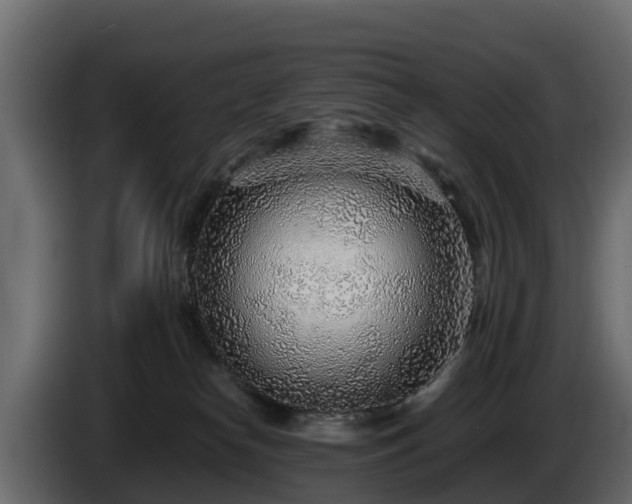 X0000085790182200703231316