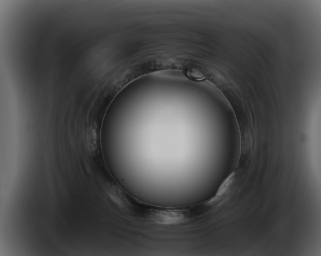 X0000085790183200703231316