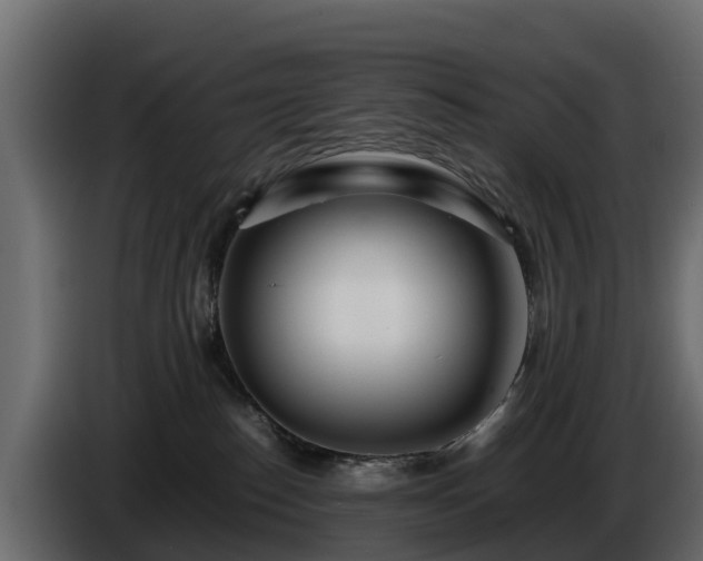 X0000085790186200703231316