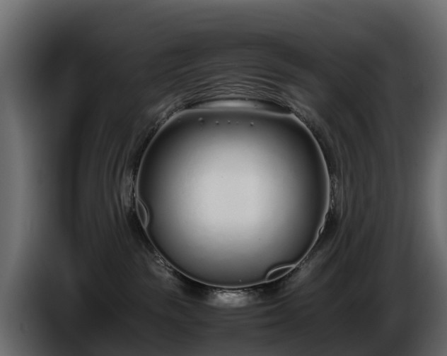 X0000085790189200703231316