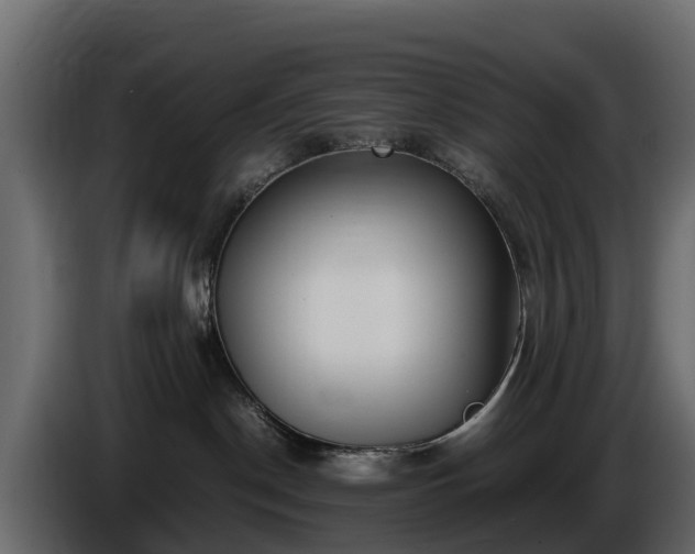 X0000085790190200703231316