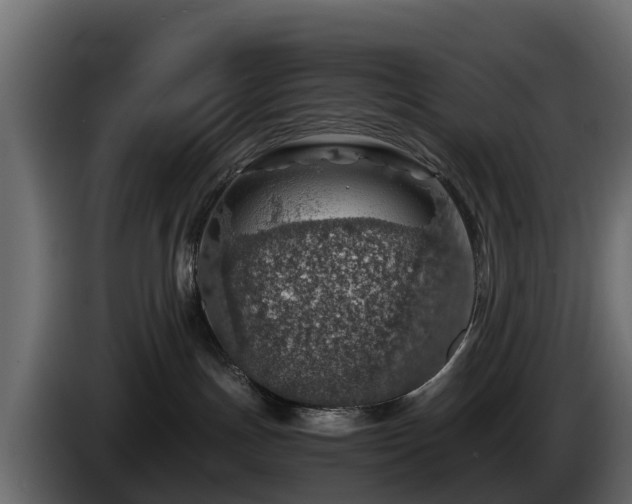 X0000085790191200703231316