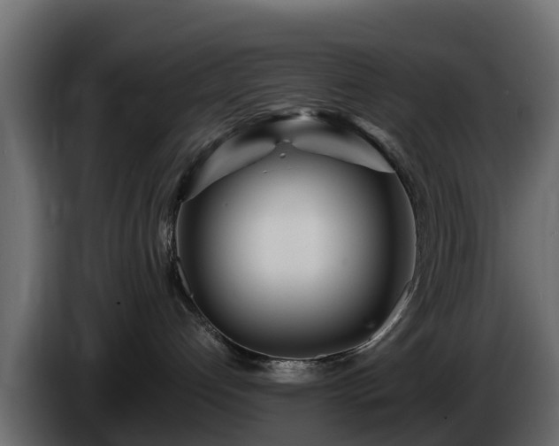 X0000085790192200703231316