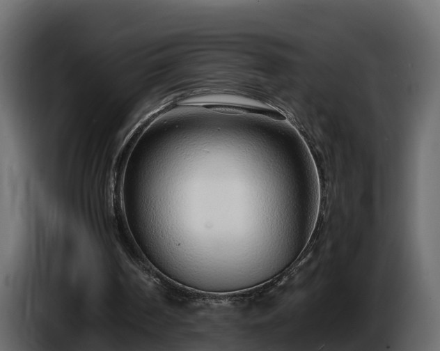 X0000085790194200703231315