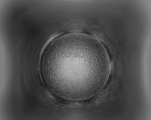 X0000085790195200703231315