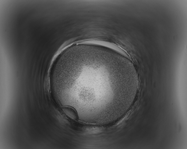 X0000085790198200703231315