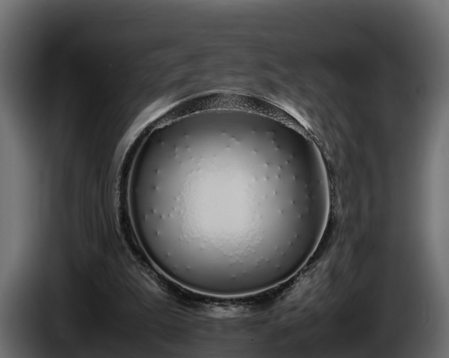 X0000085790199200703231315