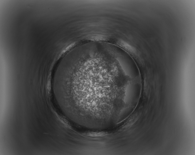 X0000085790202200703231315