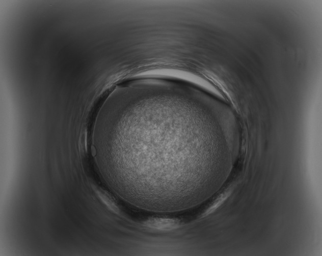 X0000085790205200703231315