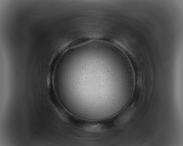 X0000085790206200703231315