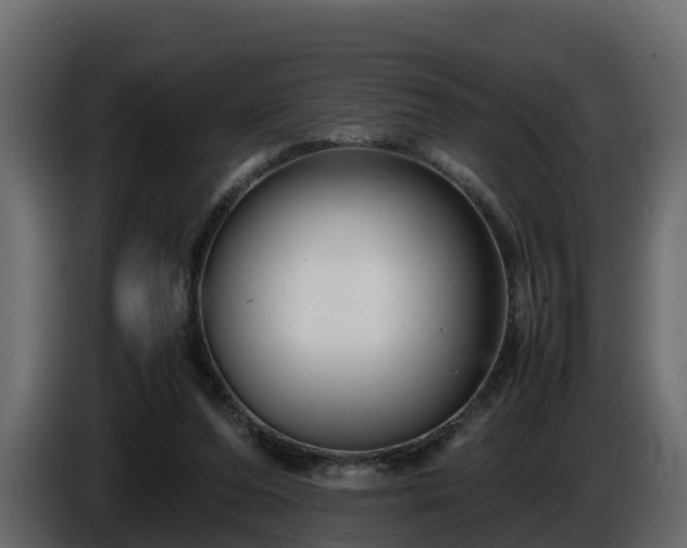 X0000085790208200703231315