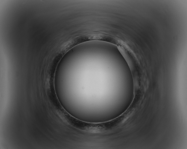 X0000085790209200703231315