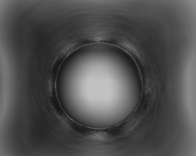 X0000085790210200703231315