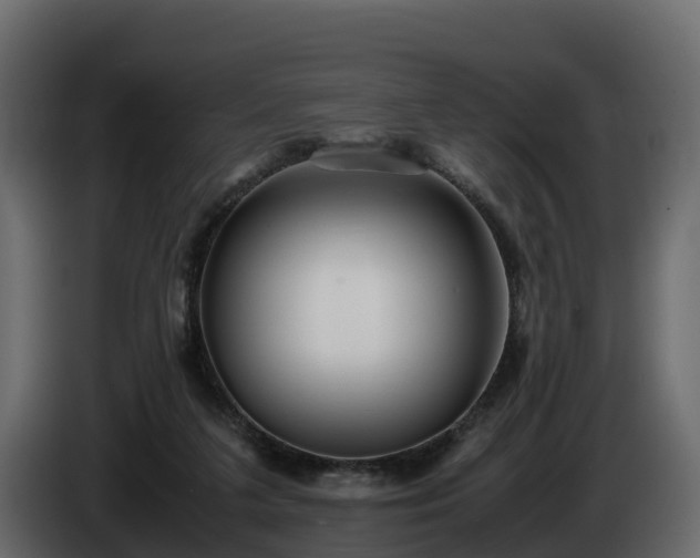 X0000085790211200703231315
