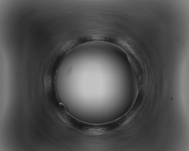 X0000085790213200703231315